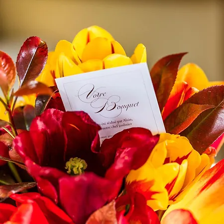 Chateau D'audrieu Hotel 5*