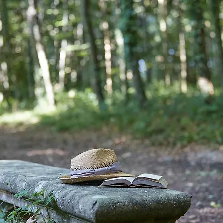 Chateau D'audrieu Отель