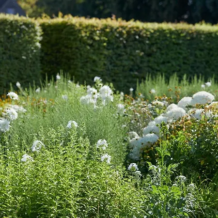 Hotel Chateau D'audrieu - Relais & Chateaux 5*