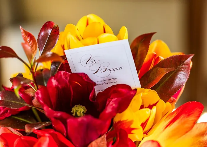 Chateau D'audrieu - Relais & Chateaux Hotel 5*