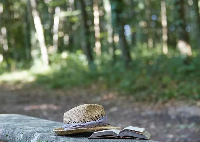 Chateau D'audrieu - Relais & Chateaux فندق