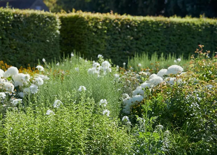 Hotel Chateau D'audrieu - Relais & Chateaux 5*